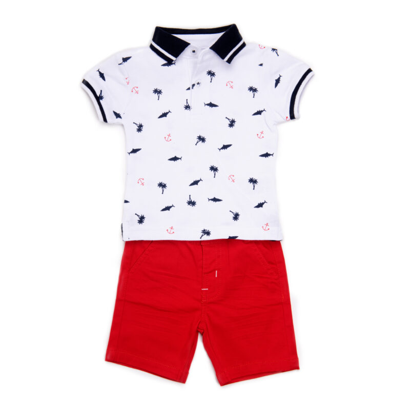 Conjunto polo.